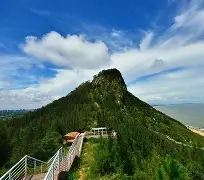 九游- 杨绍杰与杨帆最新争夺九球冠军比赛视频 